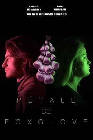 Pétale de Foxglove