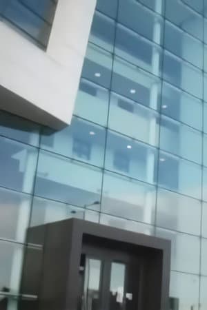 T. Rex In The Atrium