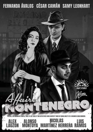 The Montenegro Affair