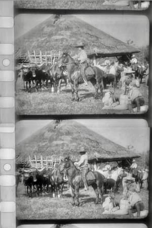 Les Apaches du Far-West