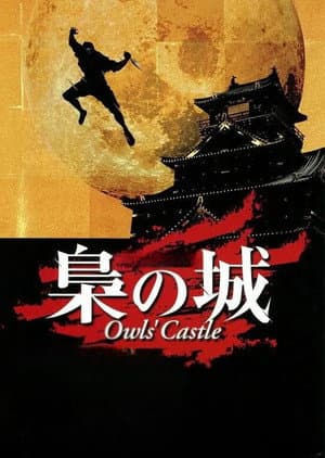 Owls' Castle