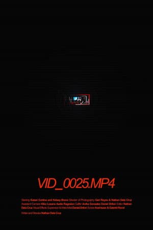 VID_0025.MP4