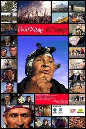 Üxüf Xipay