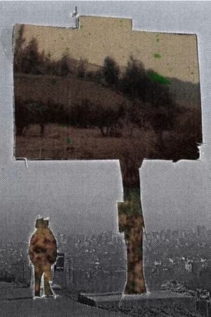 There's a Signal From the Noise, but There's no Noise