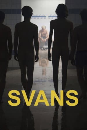 Swans