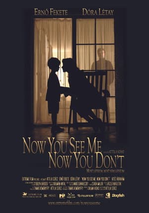 Now You See Me, Now You Don't