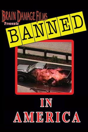 Banned! In America I