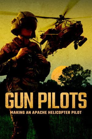 Gun Pilots