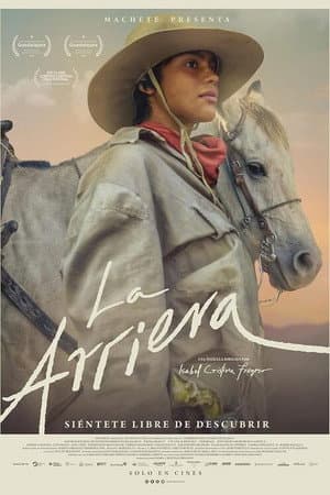 The Muleteer