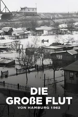 Die große Flut von Hamburg 1962