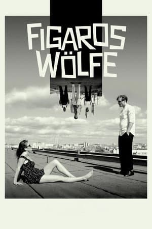 Figaros Wölfe