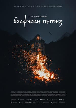 Bosnian Knight