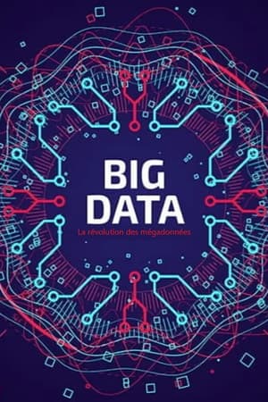 Big Data - La révolution des mégadonnées
