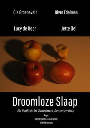 Droomloze Slaap