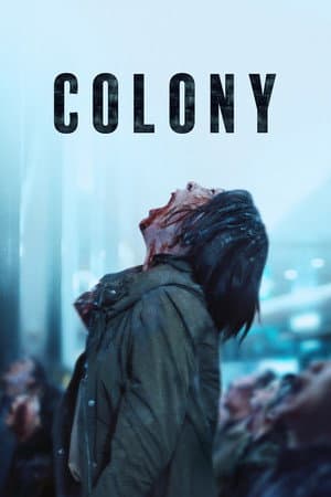 Colony