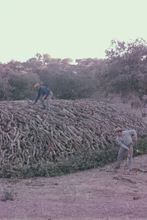 Encinares