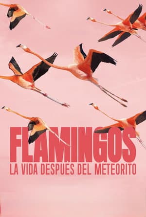 Flamingos: Life After the Meteorite