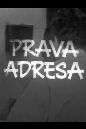 The Right Address