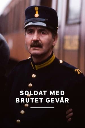 Soldat med brutet gevär