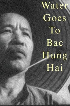 Water Goes to Bac Hung Hai
