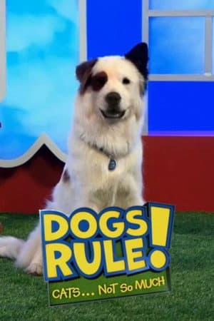 Dogs Rule! Cats... Not So Much