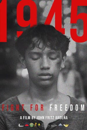 1945: Fight For Freedom