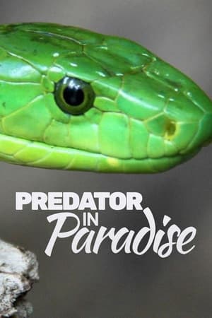 Predator in Paradise
