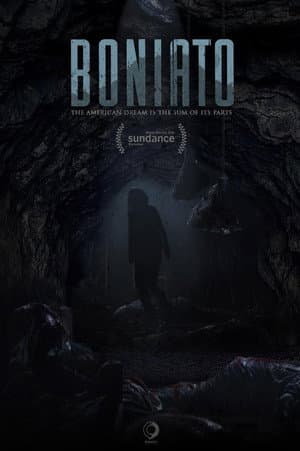 Boniato