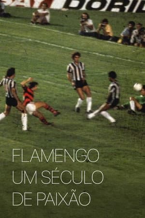 Flamengo: A Century of Passion