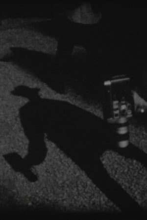 8 shots
