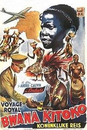 Bwana Kitoko