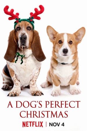 A Dog's Perfect Christmas