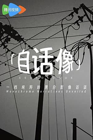 自话像