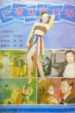 巴拿马在行动