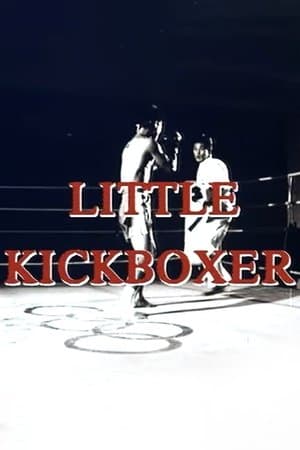 Thunder Ninja Kids 5: Little Kickboxer