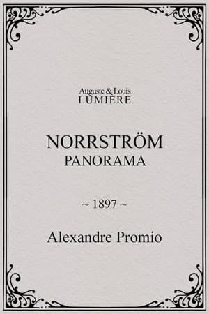 Norrström: panorama
