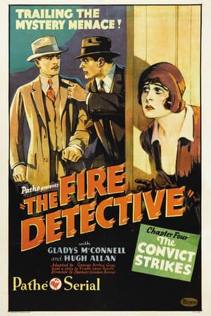 The Fire Detective
