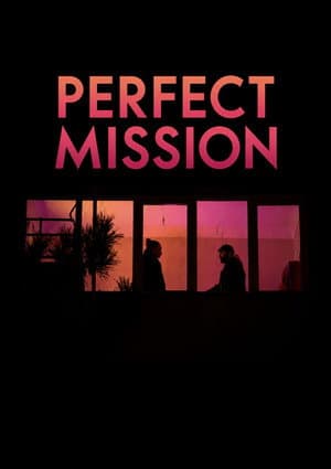 Perfect Mission