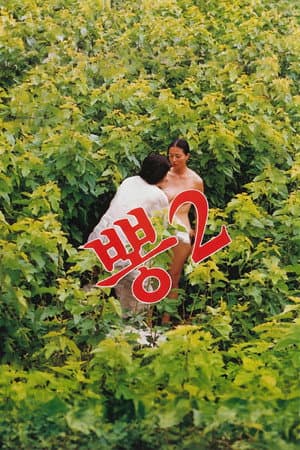 Mulberry 2
