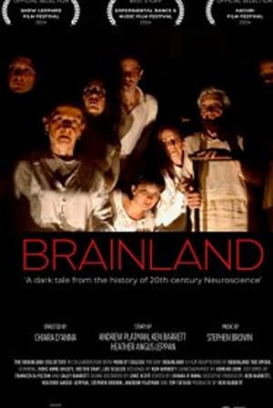 Brainland