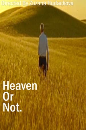 Heaven Or Not