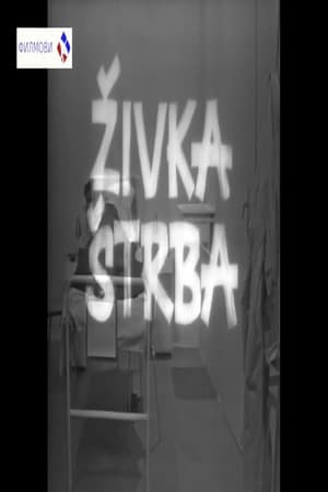 Živka Štrba