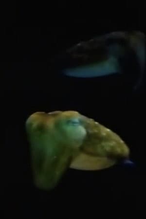 Aliens From Inner Space
