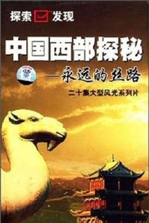 中国西部探密—永远的丝路