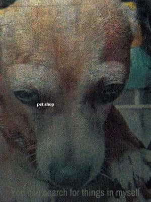 Pet Shop