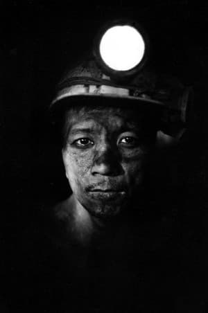 Journey into the Mine