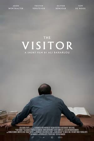 The Visitor