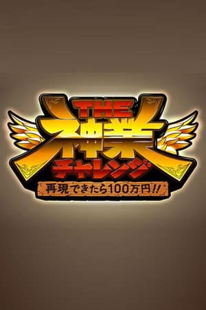 再現できたら100万円!THE神業チャレンジ