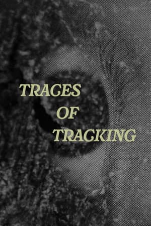 Traces of Tracking