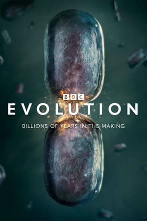Evolution
